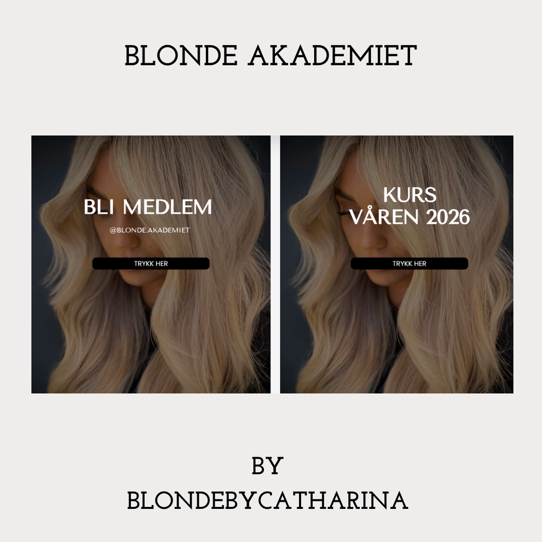 Blonde Akademiet